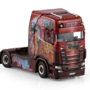 WSI 01-4714 - Beau Brazilian Dream