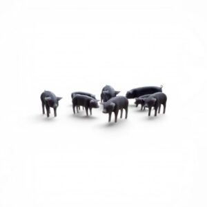 Tekno 91953 - Pigs (10pcs)